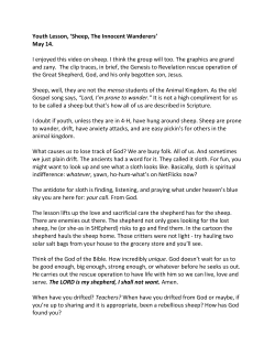 Pastor Rich`s Lesson Notes