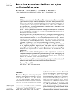 Interactions between insect herbivores and a plant architectural