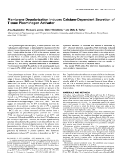 Membrane Depolarization Induces Calcium