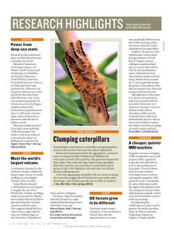 Clumping caterpillars