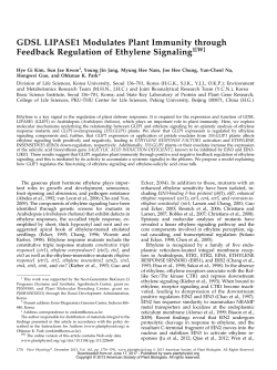 GDSL LIPASE1 Modulates Plant Immunity through Feedback