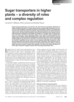 Sugar transporters in higher plants &ndash; a diversity of roles and