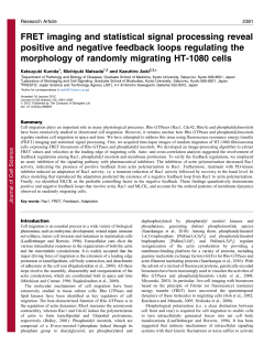 FRET imaging and statistical signal processing reveal positive and