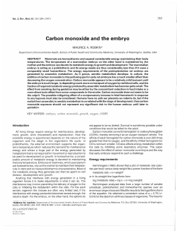 Carbon monoxide and the embryo