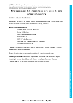 Time-lapse reveals that osteoclasts can move across the bone