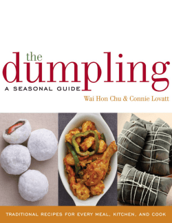 The Dumpling - Ritter Illustration