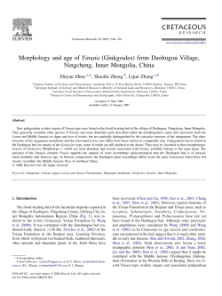 Morphology and age of Yimaia (Ginkgoales) from Daohugou Village