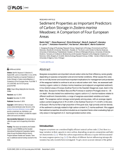 Sediment Properties as Important Predictors of Carbon