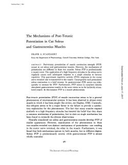 The Mechanisms of Post-Tetanic Potentiation in Cat Soleus and