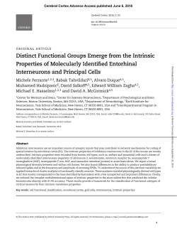 Distinct Functional Groups Emerge from the