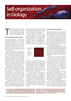 Self-organization in biology - Max-Planck