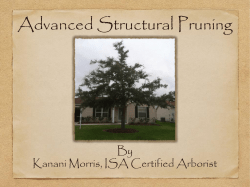 Advanced Structural Pruning