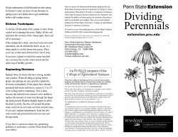 Dividing Perennials - Penn State Extension