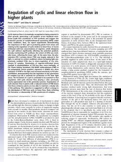 Regulation of cyclic and linear electron flow in higher plants