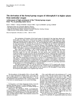 The derivation of the formyl-group oxygen of chlorophyll b in higher