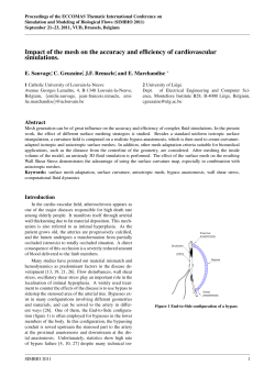 Impact of the mesh on the accuracy and efficiency of cardiovascular