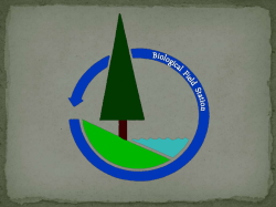 Diet for a Small Lake