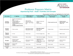 Professor Popcorn Matrix