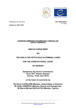 AMICUS CURIAE BRIEF ON THE NON ULTRA PETITA RULE IN