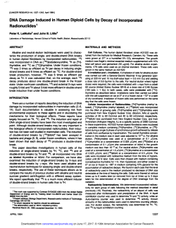 DMA Damage Induced in Human Diploid Cells by Decay of