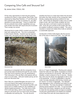 Comparing Silva Cells and Strucural Soil