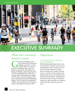 the Executive Summary