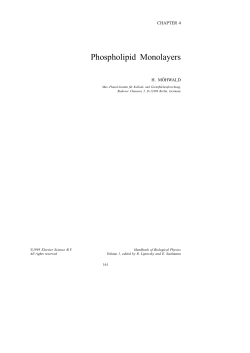 Phospholipid Monolayers