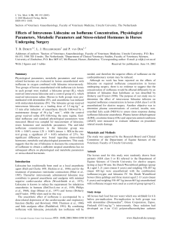 Effects of Intravenous Lidocaine on Isoflurane