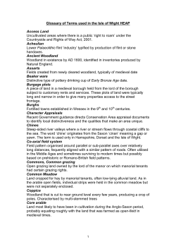 Glossary - Isle of Wight Council