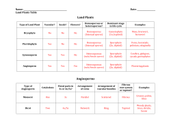 Land Plants Angiosperms