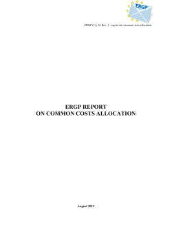 common costs allocation - European Commission