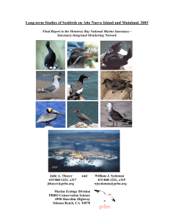 Long-term Studies of Seabirds on A&ntilde;o Nuevo Island and Mainland