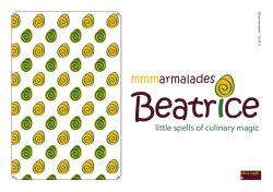 presentation Beatrice. - Ideje koncepti in zgodbe