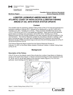 Lobster (Homarus americanus) off the Atlantic Coast of Nova Scotia