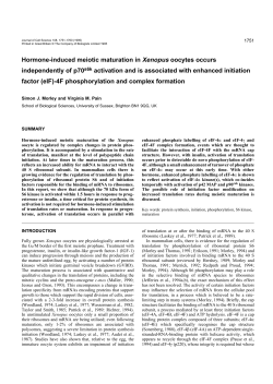 Hormone-induced meiotic maturation in Xenopus oocytes occurs