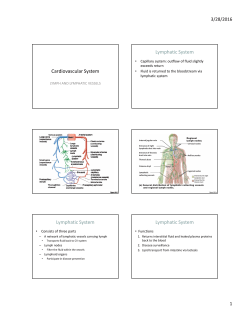 Lymphatic System