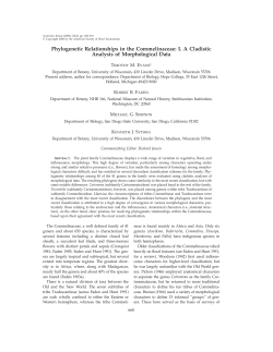 Phylogenetic Relationships in the Commelinaceae: I. A Cladistic