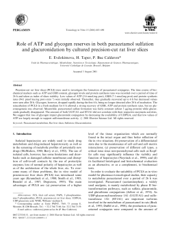 Role of ATP and glycogen reserves in both paracetamol sulfation
