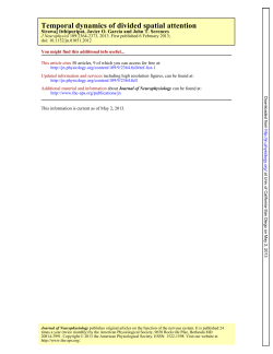 Temporal dynamics of divided spatial attention