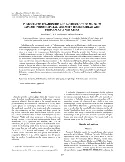 phylogenetic relationship and morphology of dalzellia gracilis