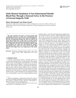 Finite Element Simulation of Two-Dimensional Pulsatile Blood Flow