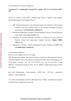 Sponge spicules as blue prints for the biofabrication of inorganic