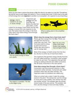 Food Chains - See Nature