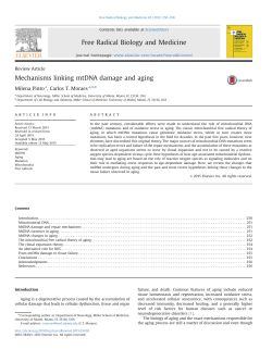 Mechanisms linking mtDNA damage and aging