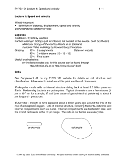 PHYS 101 Lecture 1: Speed and velocity 1 - 1 Lecture 1