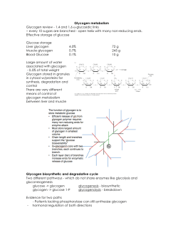 Chem331 Glycogen Metabolism - University of San Diego Home