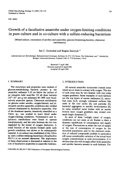 Growth of a facultative anaerobe under oxygen