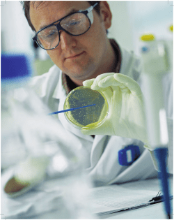 Essentials Chapter 2