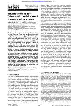 Metamorphosing reef fishes avoid predator scent when choosing a