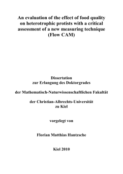 An evaluation of the effect of food quality on heterotrophic protists